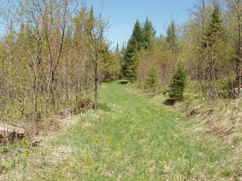 Off Cth N Glidden WI 54527