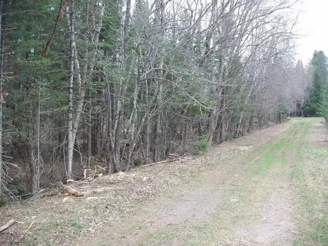 Off Cth N Glidden WI 54527