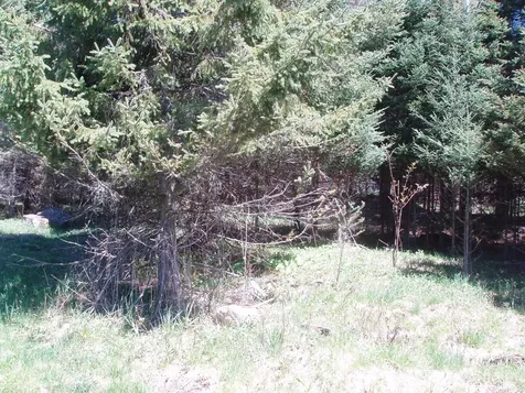 Off Cth N Glidden WI 54527