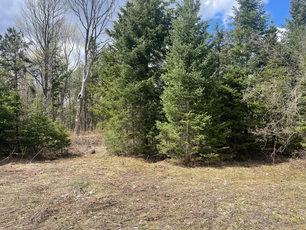 81620 Pociask Road Butternut WI 54514
