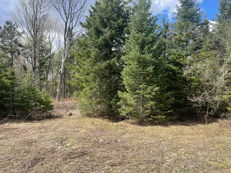 81620 Pociask Road Butternut WI 54514