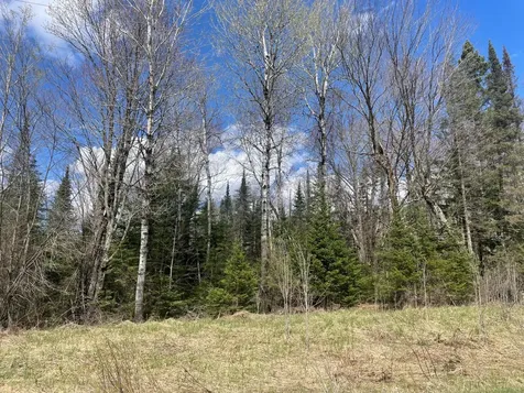 81620 Pociask Road Butternut WI 54514