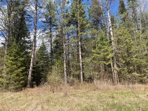 81620 Pociask Road Butternut WI 54514