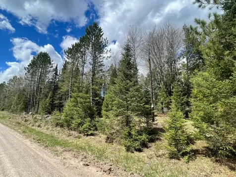 81620 Pociask Road Butternut WI 54514