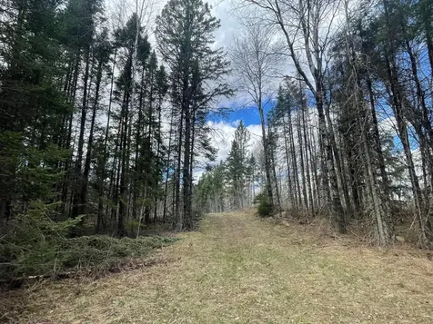 81620 Pociask Road Butternut WI 54514