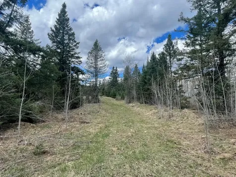 81620 Pociask Road Butternut WI 54514