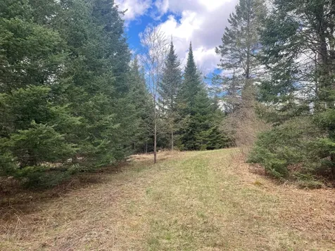 81620 Pociask Road Butternut WI 54514