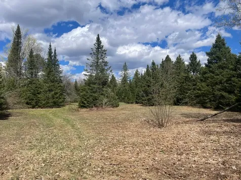 81620 Pociask Road Butternut WI 54514