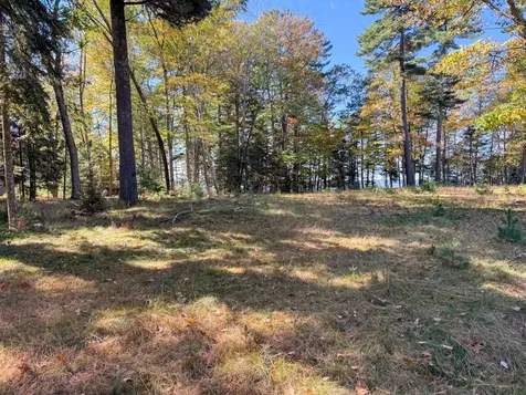 Lot 2 Bear Run Lane St Germain WI 54558