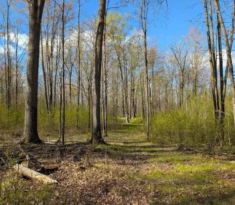 N7898 Fedyn Road Ladysmith WI 54848