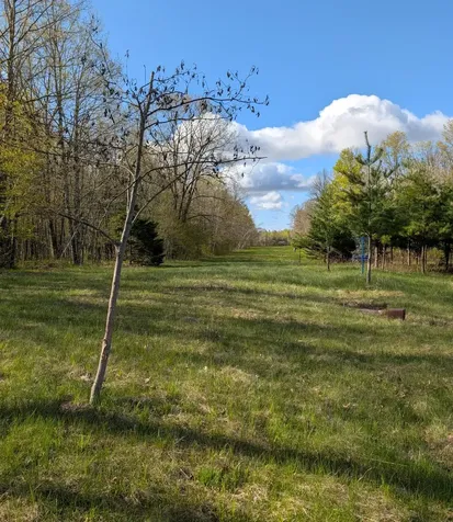 N7898 Fedyn Road Ladysmith WI 54848