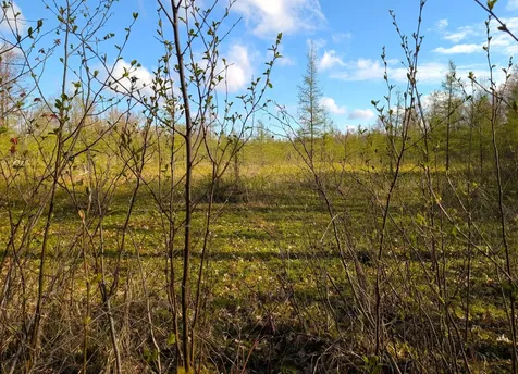 N7898 Fedyn Road Ladysmith WI 54848