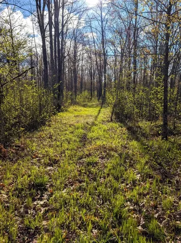 N7898 Fedyn Road Ladysmith WI 54848