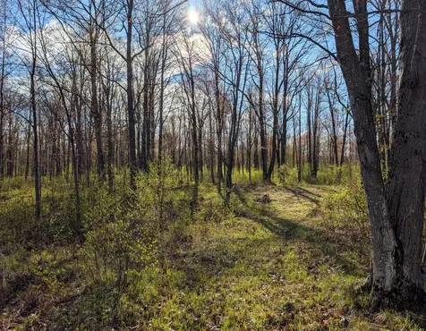 N7898 Fedyn Road Ladysmith WI 54848
