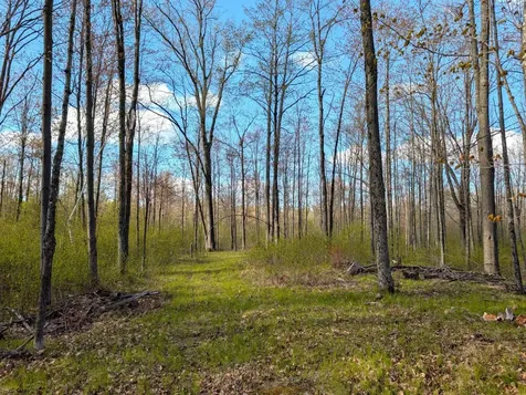 N7898 Fedyn Road Ladysmith WI 54848