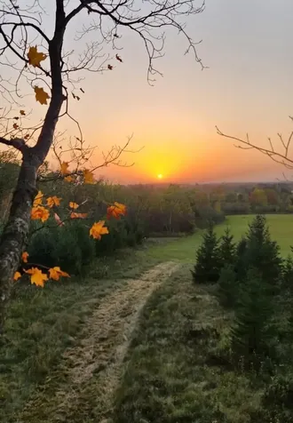 N7898 Fedyn Road Ladysmith WI 54848