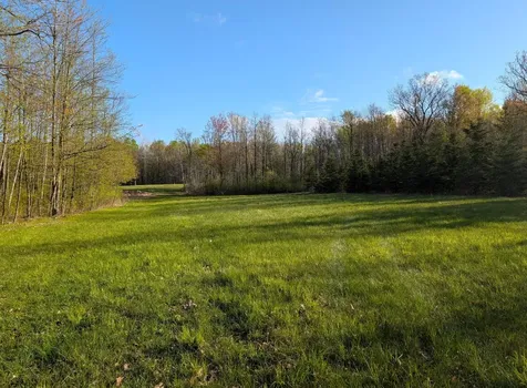 N7898 Fedyn Road Ladysmith WI 54848