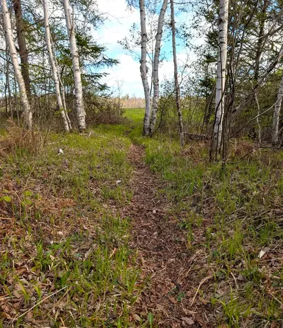 N7898 Fedyn Road Ladysmith WI 54848