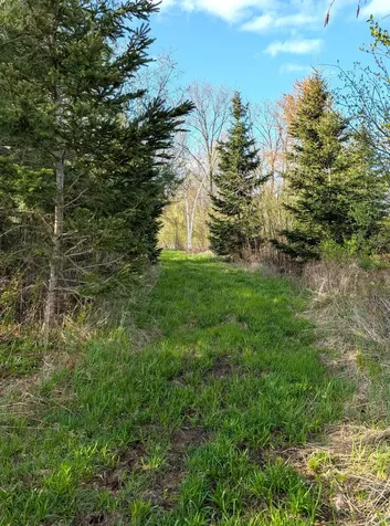 N7898 Fedyn Road Ladysmith WI 54848