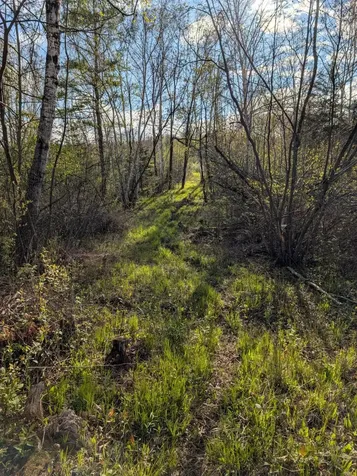 N7898 Fedyn Road Ladysmith WI 54848