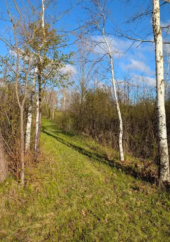 N7898 Fedyn Road Ladysmith WI 54848