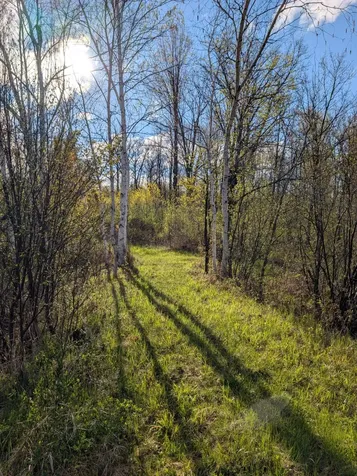 N7898 Fedyn Road Ladysmith WI 54848