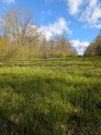 N7898 Fedyn Road Ladysmith WI 54848