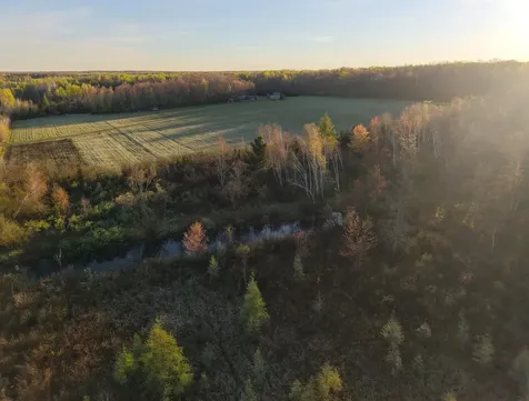 N7898 Fedyn Road Ladysmith WI 54848