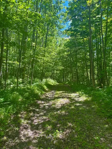 16791 Little Pickerel Lane Townsend WI 54175