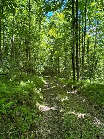 16791 Little Pickerel Lane Townsend WI 54175