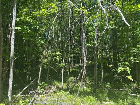 16791 Little Pickerel Lane Townsend WI 54175