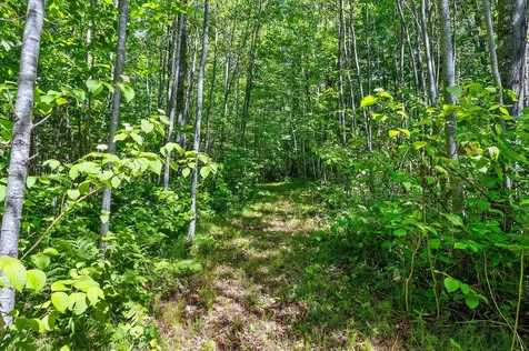 16791 Little Pickerel Lane Townsend WI 54175