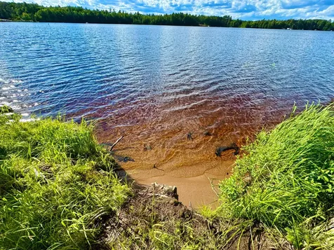 1010 Highway 32 Three Lakes WI 54562