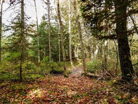 1325 Bates-amasa Road Iron River MI 49935