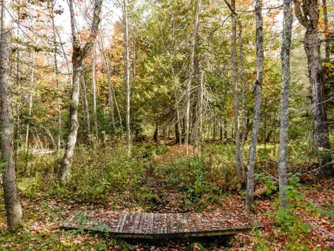 1325 Bates-amasa Road Iron River MI 49935