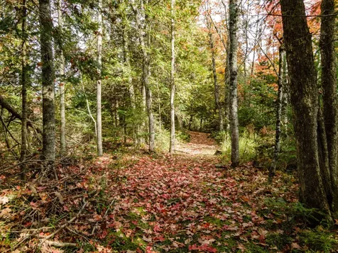 1325 Bates-amasa Road Iron River MI 49935