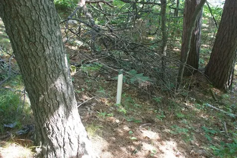 10310 Reible Court Boulder Junction WI 54512