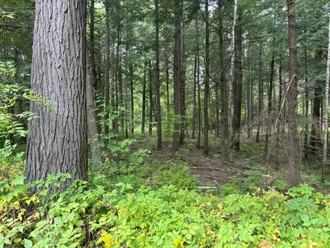 N10311 Hemlock Road Elcho WI 54428