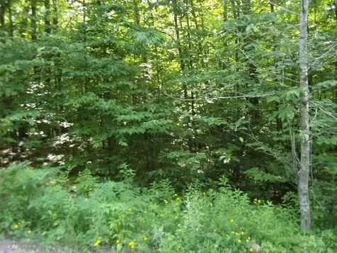 N12379 Red Rock Road Silver Cliff WI 54104