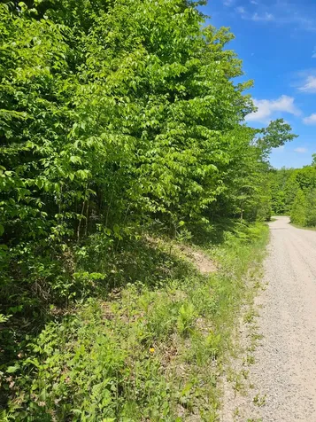 N12379 Red Rock Road Silver Cliff WI 54104