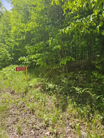 N12379 Red Rock Road Silver Cliff WI 54104