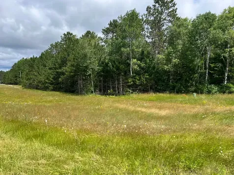 Tbd Highway 141 Crystal Falls MI 49920