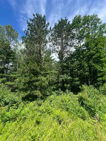 Tbd Highway 141 Crystal Falls MI 49920
