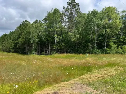 Tbd Highway 141 Crystal Falls MI 49920
