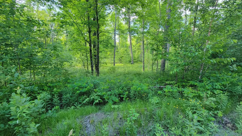 On Brady Lane Elcho WI 54428