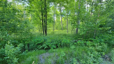 On Brady Lane Elcho WI 54428