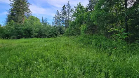 On Brady Lane Elcho WI 54428