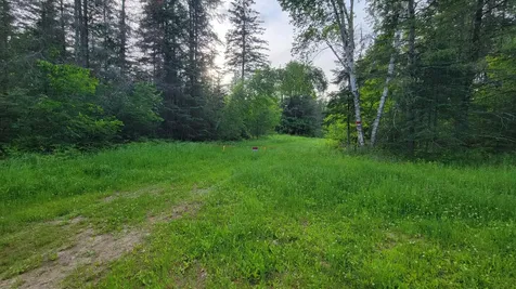 On Brady Lane Elcho WI 54428
