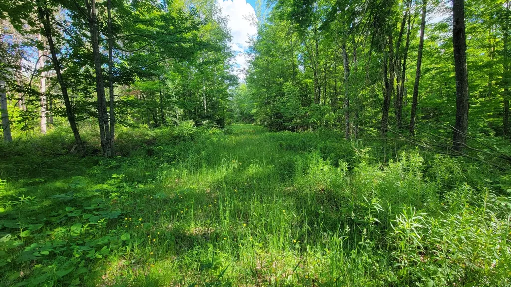 On Hunting River Road Elcho WI 54428