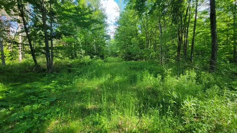 On Hunting River Road Elcho WI 54428